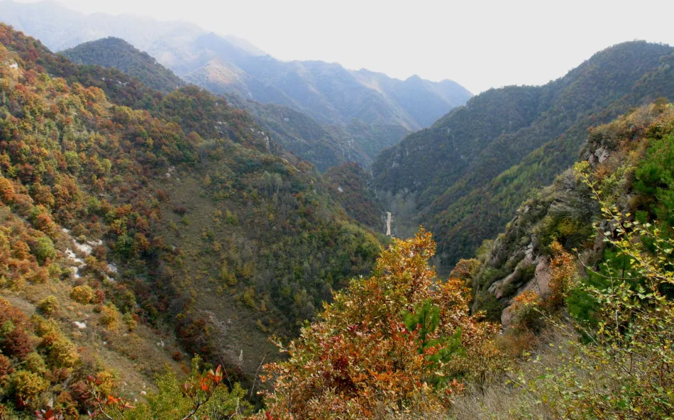 平山县平山县移动宽带